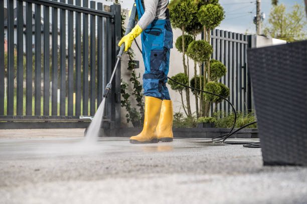 Best Exterior Home Cleaning  in Barnesville, MN